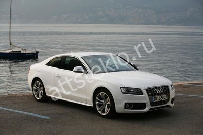 Автостекла Audi S5 c установкой в Москве